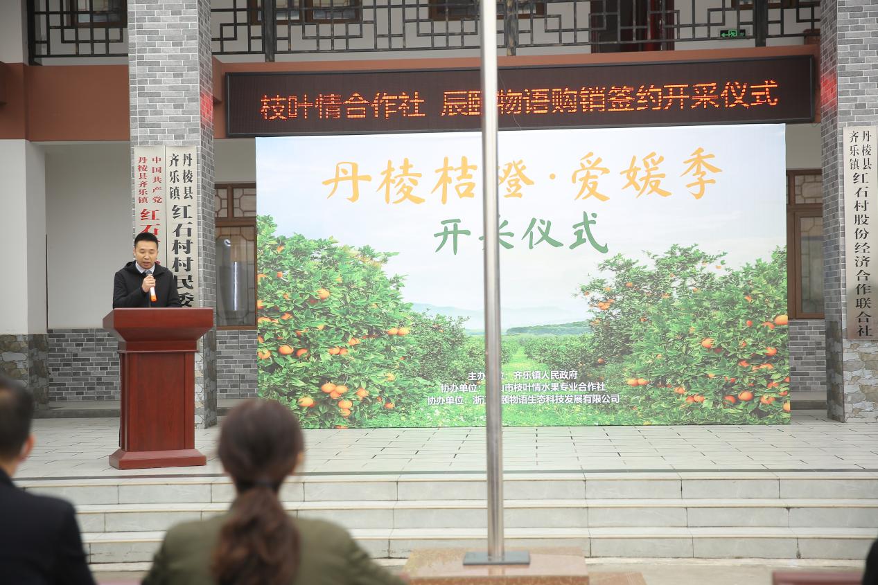 火速售罄！辰颐物语“甜满中国”四川丹棱爱媛橙开采仪式圆满举行！
