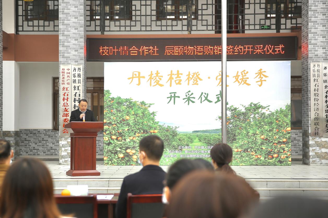 275万斤全部售罄！丹棱爱媛橙“甜满中国”，乡村振兴正当时！