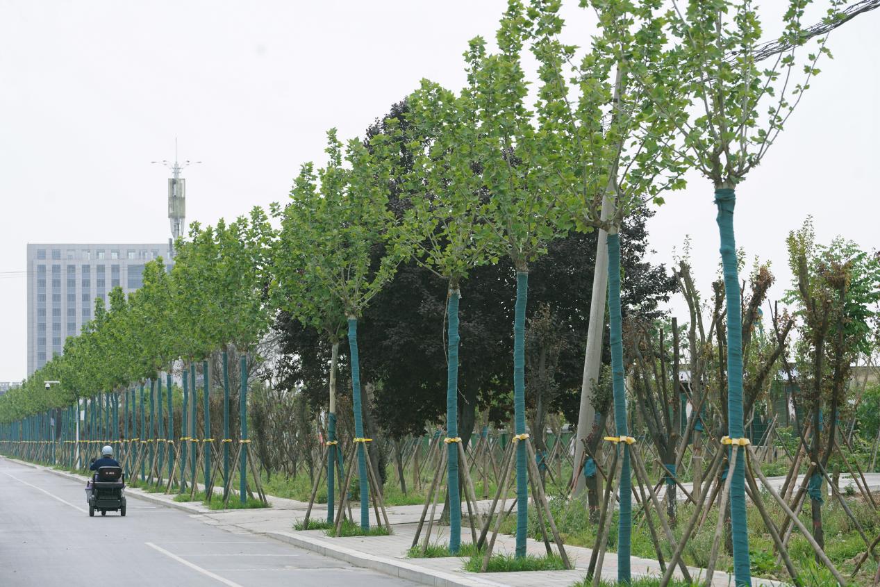 DSC04286